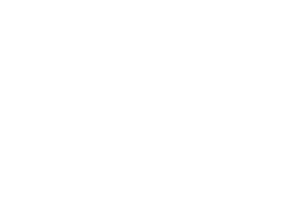 The Logical Indian